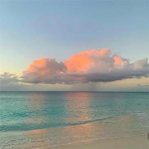 最新版韩国AV影片
